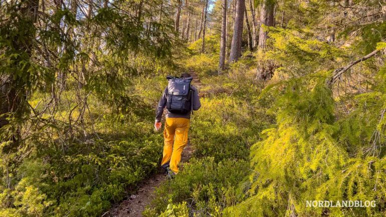 Wanderung Zum Rnenapen Trollzunge Des Setesdalen